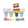 gay pride queerOsez être différent