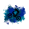 Trial Bike
