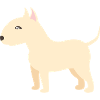 bull terrier