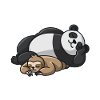 Lazy Panda Sloth 2