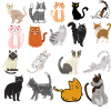 CATS