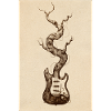 guitare