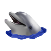 Dolphin's head