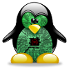 spider-linux
