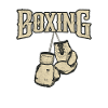 Boxing gloves