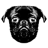 Otto's Pug hopst
