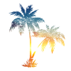 Two Palms