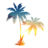 Summer palms