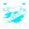 Windsurfing is importante