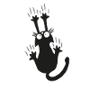 Black cat kitten cat fan