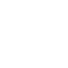 Lioness sunglasses