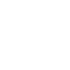 HOLZ