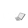 Programmer Cat Programmierer Computer Katze