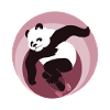 fabulous skate panda