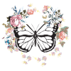 butterfly