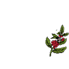 Garten Chefin