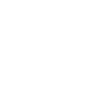 Evolution undertaker hearse
