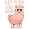 Llama alpaca not serious