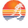 Japan sun bonsai