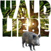 waldliebe mit wildschwein