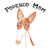Podenco mom