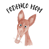 Podenco Mom 2