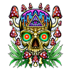 Magic Mushrooms Skull - Psychedelic Phenomenon