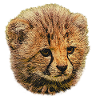 Bébé guépard, bébé animal