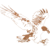An eagle
