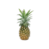 Pineapple | Pineapple