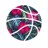 basketball basket ball tropical