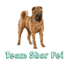 Team sharpei