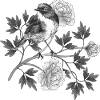 Vogel