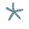 Seestern 7,meeresleben,Design,Geschenk,cool,chic,