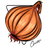 Onion onions