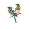 Birds