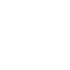 Australian Shepherd Evolution