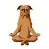 Brussels Griffon Dog meditate