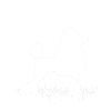 Dog Poodle