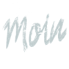 Moin Möwen