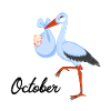 Pregnant stork baby is born in October