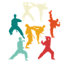 Karate Japan