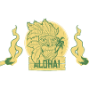 ALOHA 2 TIKI