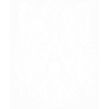 Mystical wolf