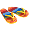 Flip flops - bio