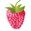 pink red ripe raspberry