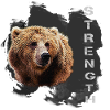 Strength, Character, Kodiak Bear