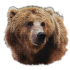 Bear Lover T-Shirts, Bear Head Night Pattern