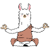 Yoga shirt llama alpaca