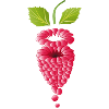 floating pink ripe raspberry